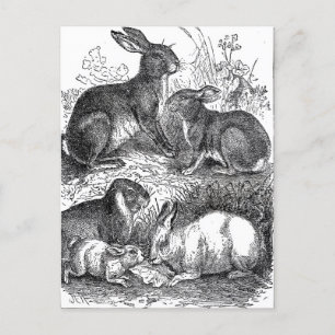 Vintage Easter Postcard