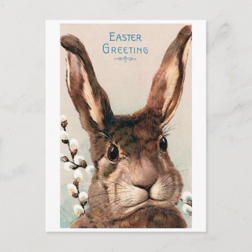 Vintage Easter Pouty Face Bunny Postcard