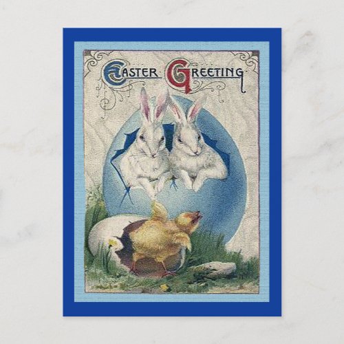 Vintage Easter White Rabbits and Baby Chick ZSSG Holiday Postcard