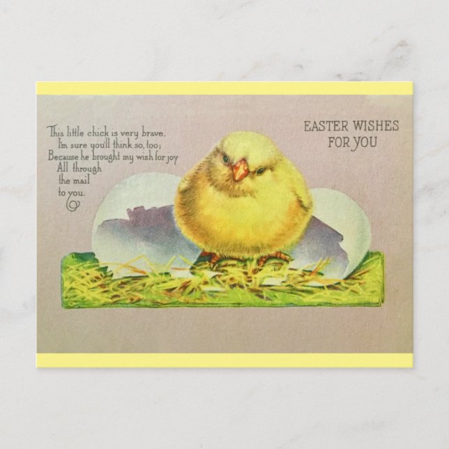 Vintage Easter Wishes Cute Chick Postcard (Front)