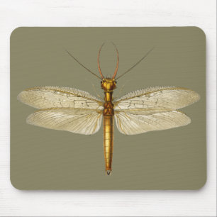 Vintage Eastern dobsonfly Dragonfly illustration Mouse Pad