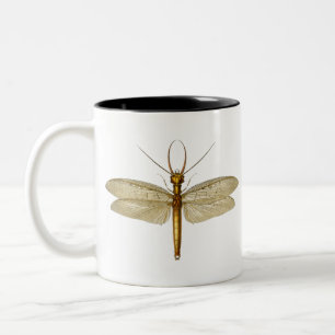 Vintage Eastern dobsonfly Dragonfly illustration Two-Tone Coffee Mug