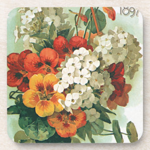 Vintage Eastman's Seed Catalog Cover Art, 1897 Drink Coaster