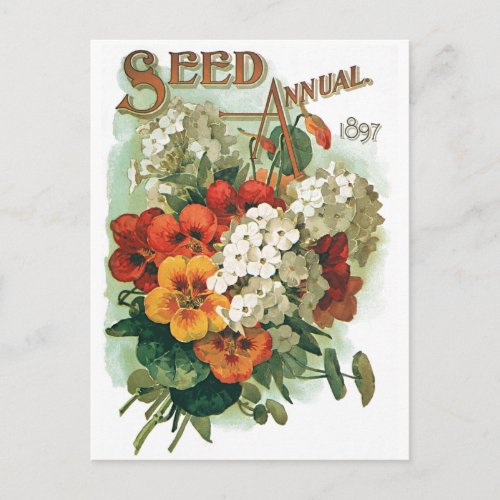 Vintage Eastmans Seed Catalog Cover Art 1897 Postcard