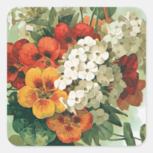 Vintage Eastman's Seed Catalog Cover Art, 1897 Square Sticker