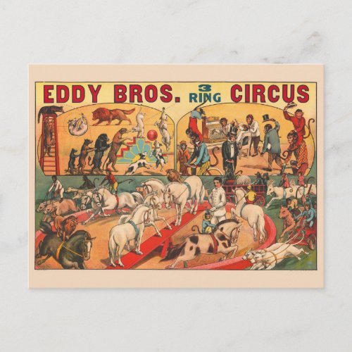 Vintage Eddy Brothers Circus Poster Postcard