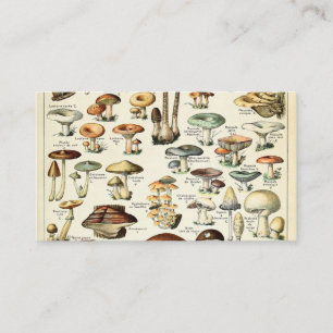 Vintage Edible Mushroom Chart Business Card