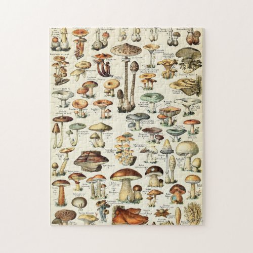 Vintage Edible Mushroom Chart Jigsaw Puzzle