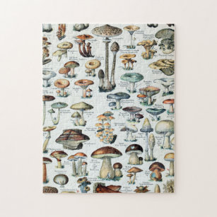 Vintage Magic Poster Series Functioning Edible Jigsaw 70 pieces.