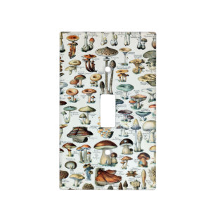 Vintage Edible Mushroom Chart Light Switch Cover