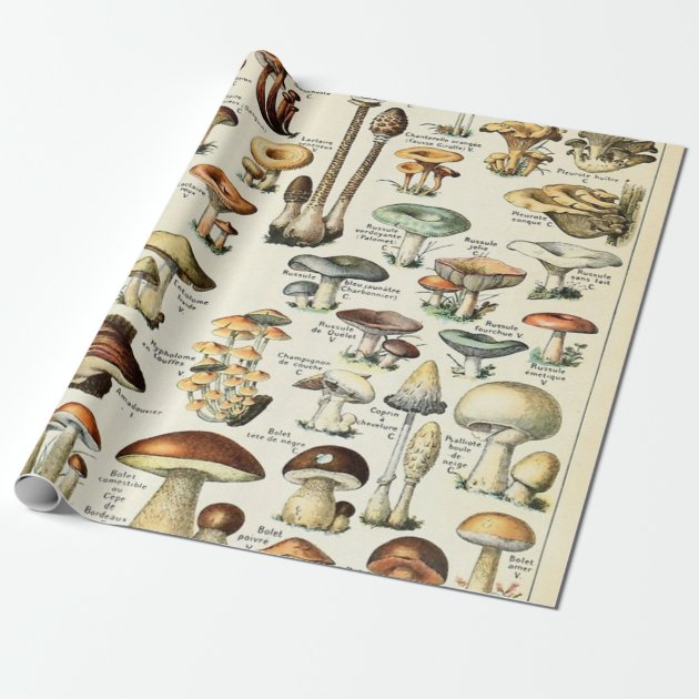 Vintage Edible Mushroom Chart Wrapping Paper