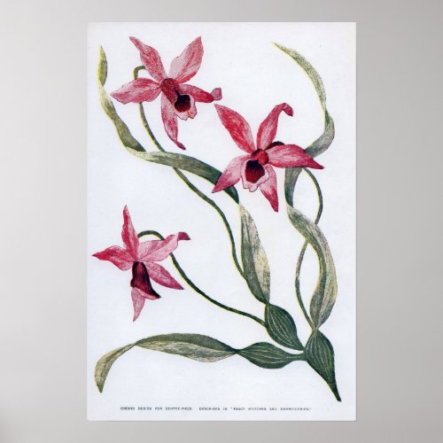 Vintage Edwardian Orchid Poster