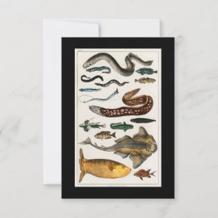 Vintage Eel Fish Collections RSVP Card