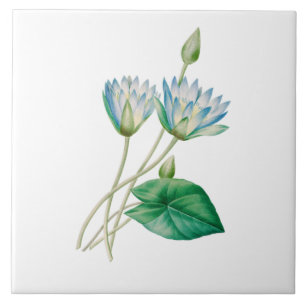 Vintage Egyptian Lotus Flower Ceramic Tile