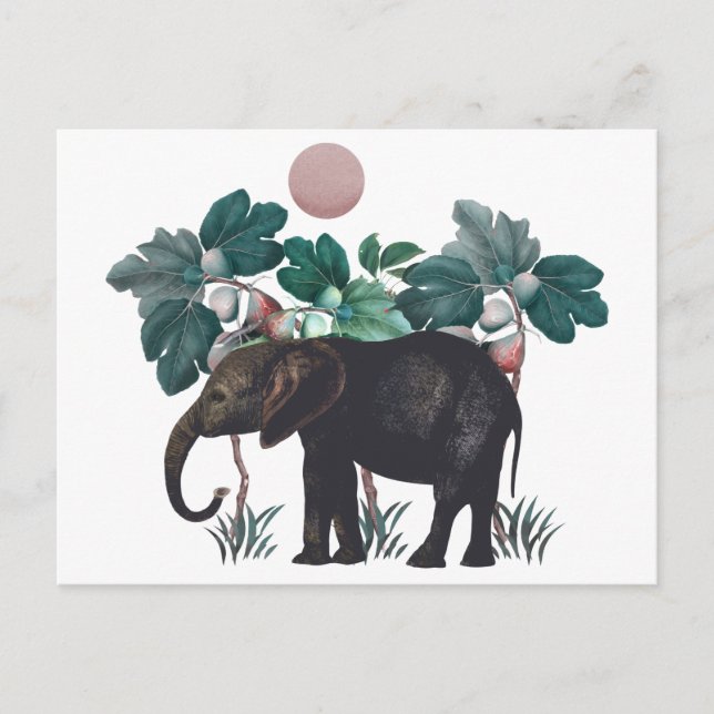 Vintage Elefant Postcard (Front)