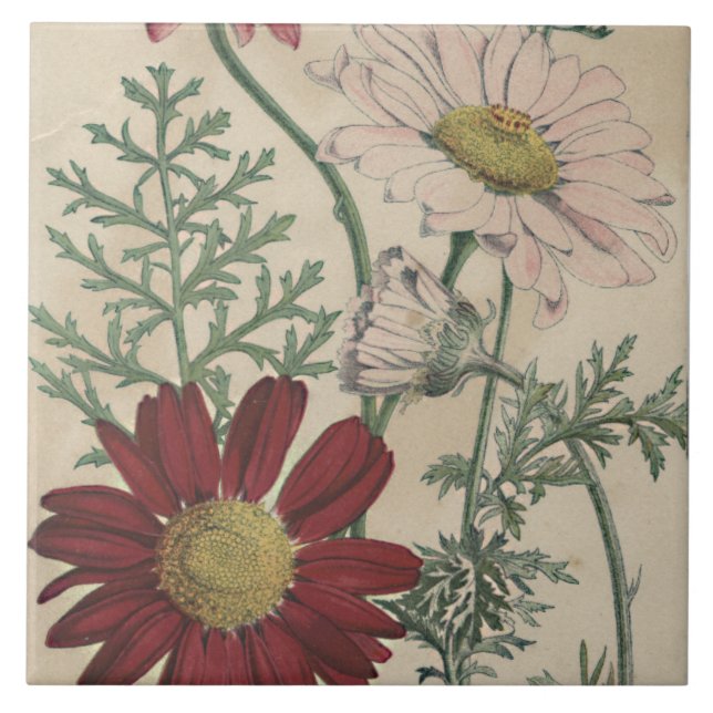 Vintage elegant daisy tile (Front)