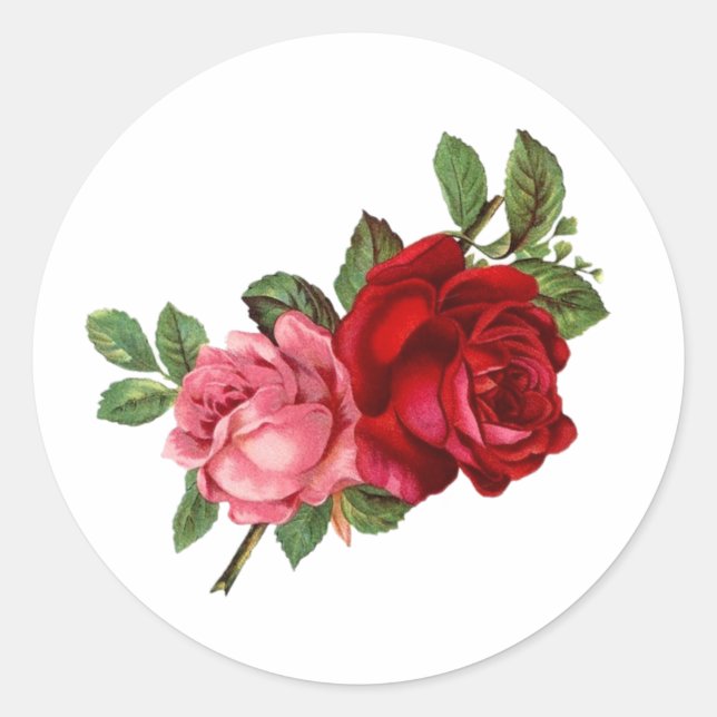 Vintage elegant roses pink red classic round sticker (Front)