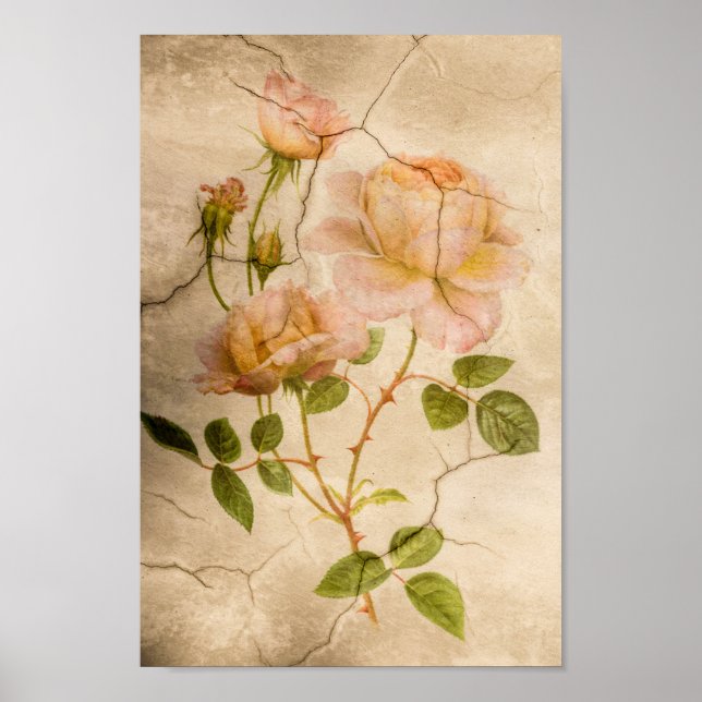 Vintage Elegant Shabby Chic Pale Pink Roses Poster (Front)