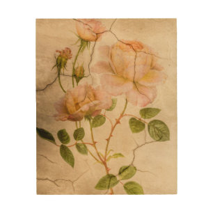 Vintage Elegant Shabby Chic Pale Pink Roses Wood Wall Decor