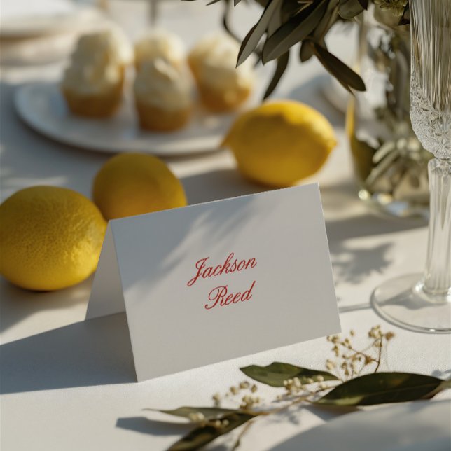 Vintage Elegant Wedding Guest Place Card (Vintage Elegant Wedding Guest Place Card)