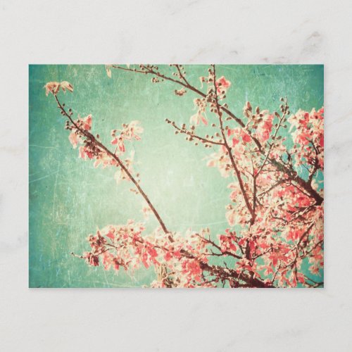 Vintage elegant worn teal wood  cherry blossom postcard