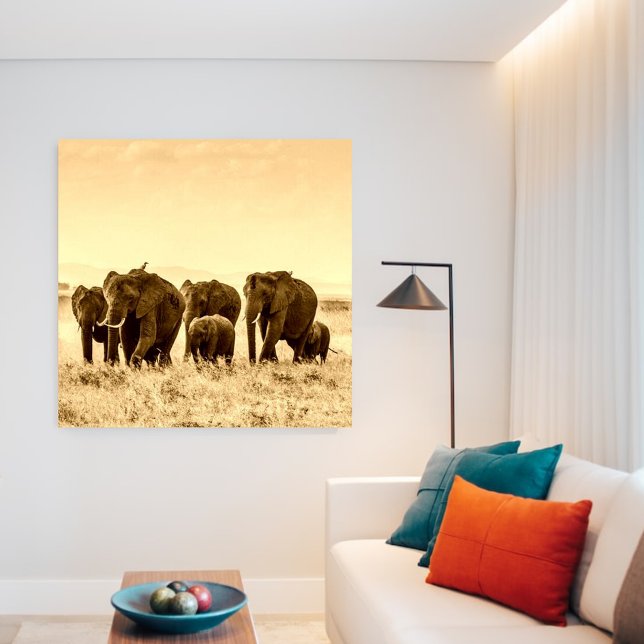 vintage elephant canvas print (Creator Uploaded)