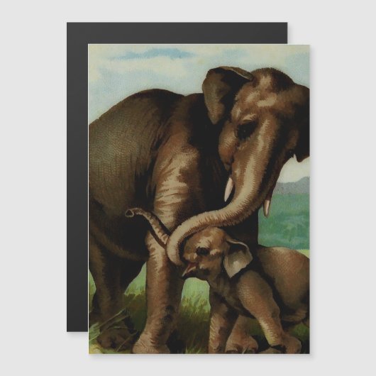 Vintage elephant cow with  her calf  (Front/Back)