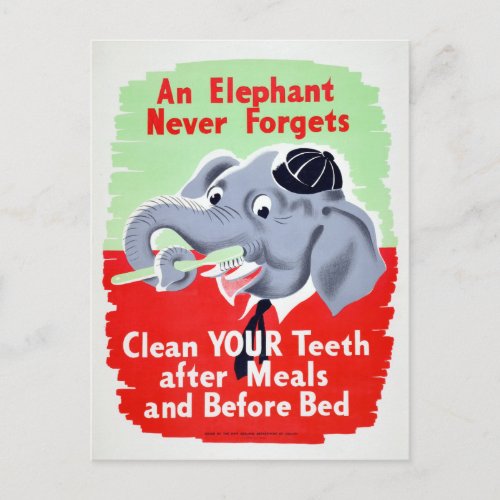 Vintage Elephant Dentist Brush your Teeth Postcard