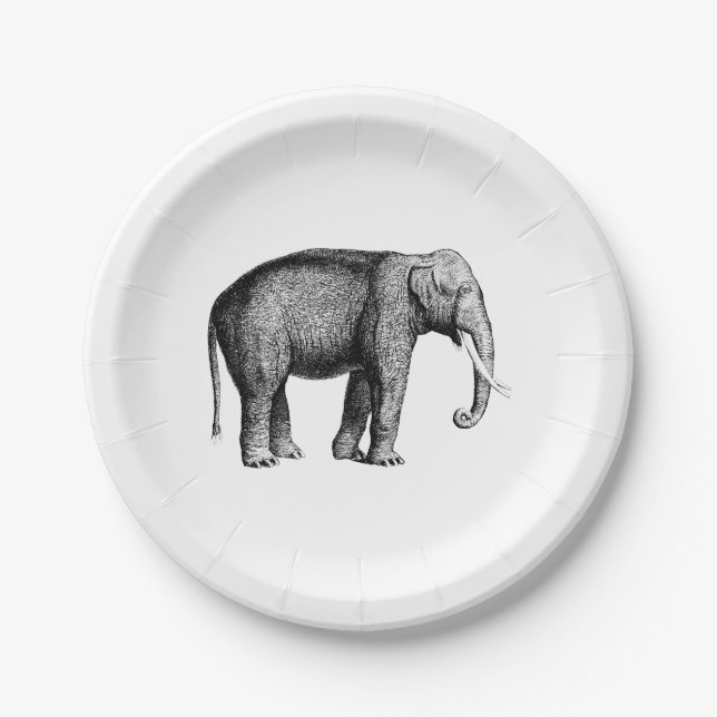 Vintage Elephant Drawing Paper Plates (Front)