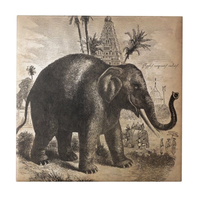 Vintage Elephant Mural Tile (Front)
