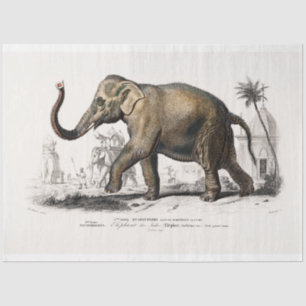 Vintage Elephant Tissue Paper