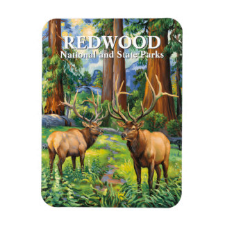 Vintage Elk Redwood California Forest Oil Painting Magnet