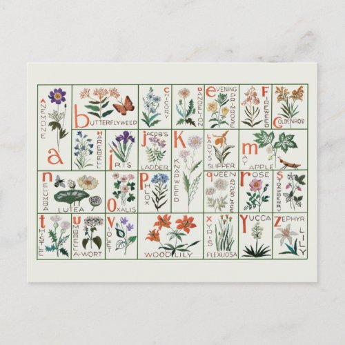 Vintage embroidery alphabet sampler  Wildflowers Postcard