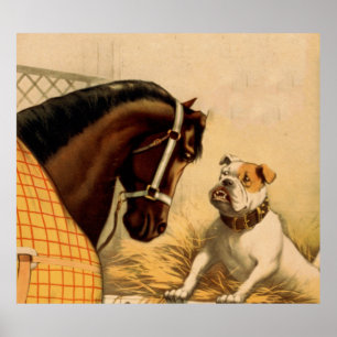 Vintage English Bulldog & Horse Illustration Poster