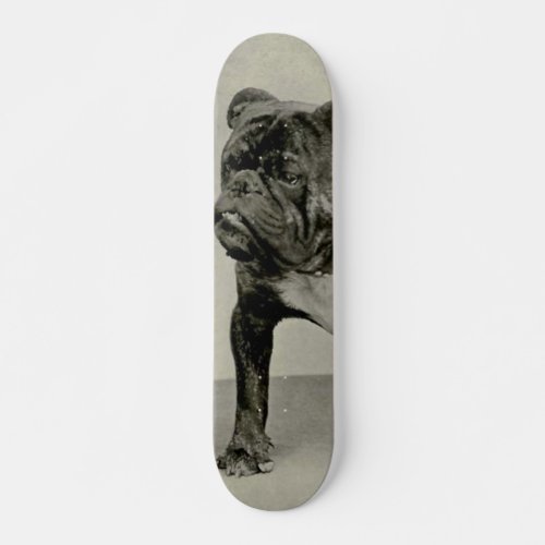 Vintage English Bulldog Photograph Skateboard
