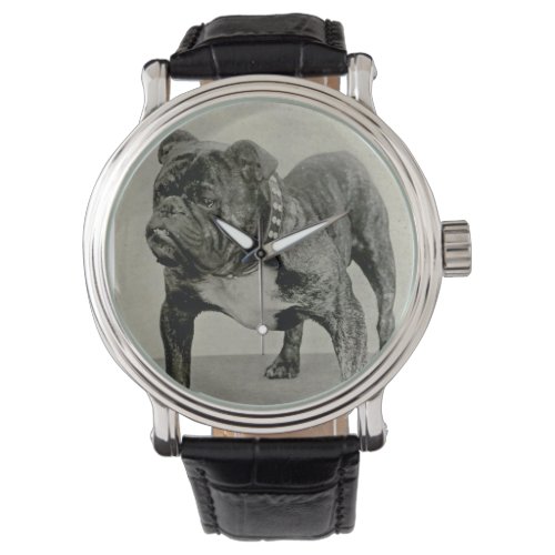 Vintage English Bulldog Photograph Watch