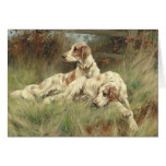 Vintage - English Setter Dogs In The Field, at Zazzle