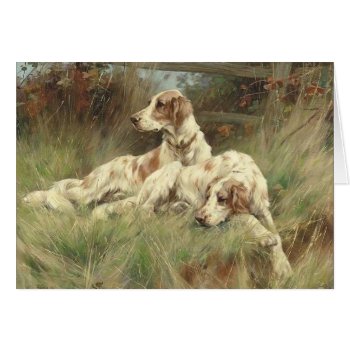 Vintage - English Setter Dogs In The Field  by AsTimeGoesBy at Zazzle