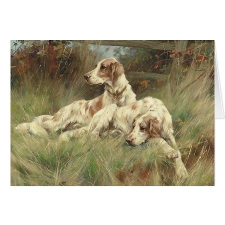 Vintage - English Setter Dogs In The Field,