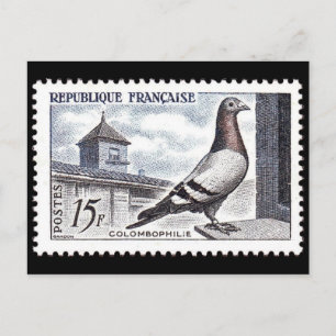 Vintage Engraved Stamp Postcard