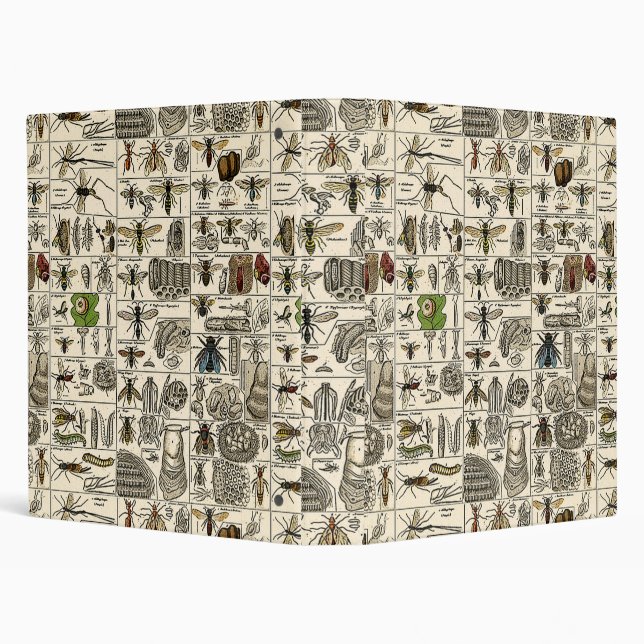 Vintage Entomology Binder (Background)