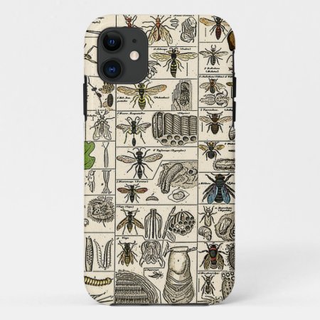 Vintage Entomology Iphone 11 Case