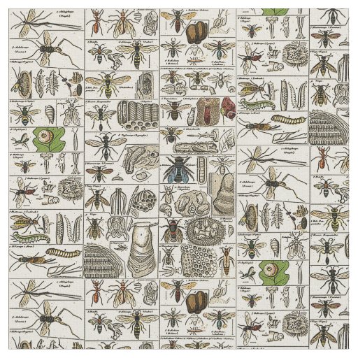 Vintage Entomology Fabric