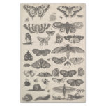 Vintage Entomology Lepidoptera Insects Decoupage Tissue Paper at Zazzle