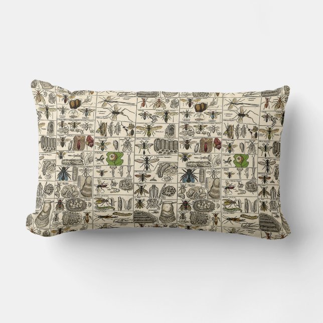 Vintage Entomology Lumbar Pillow (Front)
