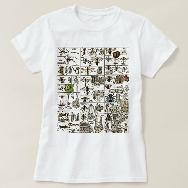 Vintage Entomology T-Shirt (Design Front)
