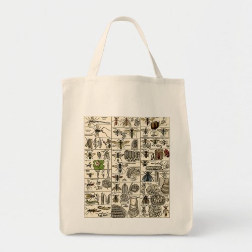 Vintage Entomology Tote Bag