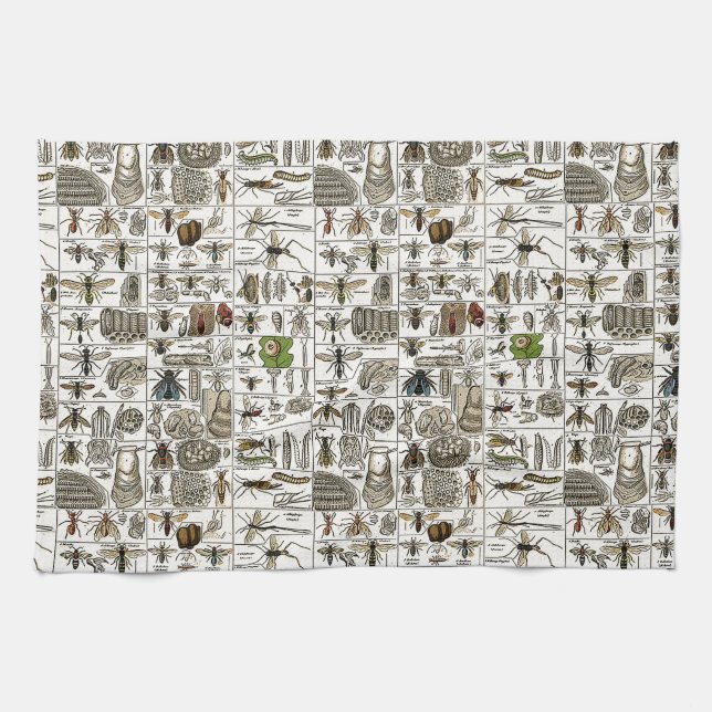 Vintage Entomology Towel (Horizontal)