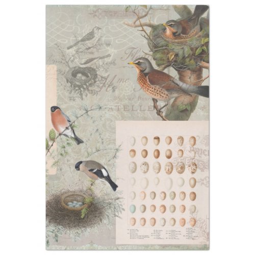 Vintage Ephemera Bird Nest Eggs Script Decoupage 2 Tissue Paper