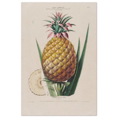 Vintage Ephemera Decoupage Pineapple Tissue Paper